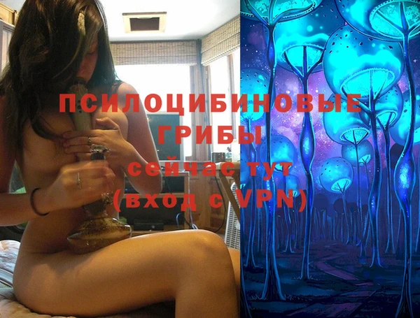 гашик Богородск