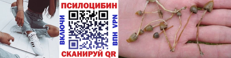 наркота  Октябрьский  Псилоцибиновые грибы Magic Shrooms 